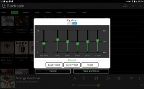 Backspin Music Player screenshot 12
