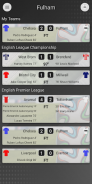 EFN - Unofficial Fulham Football News screenshot 4