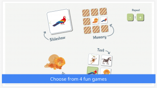 Learn Languages For Kids screenshot 10