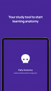 Daily Anatomy: Flashcard Quizzes to Learn Anatomy screenshot 2