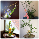 ikebana flower arrangements