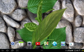 3D Leaves Live Wallpaper screenshot 0