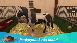 HorseWorld - My riding horse screenshot 6