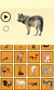 Animal Sounds screenshot 2