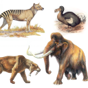 Extinct animals, endangered species! Rare animals