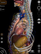 Anatomy 3D Atlas screenshot 16