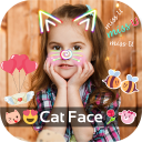 Cat Face Icon