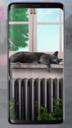 Cute Lazy Cat Live Wallpaper screenshot 2