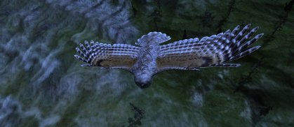 Owl Hunting Journey screenshot 1