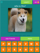 dog breeds quiz screenshot 15