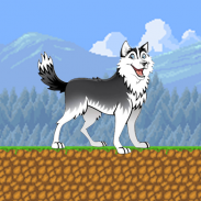 Husky Run screenshot 2