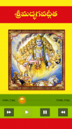 Bhagavad Gita in Telugu Audio screenshot 1