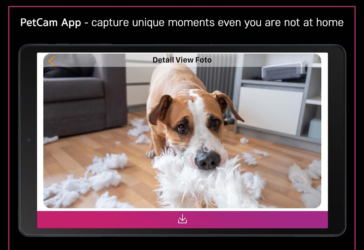 Dog webcam hot sale app