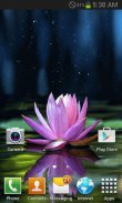 Magical Lotus Live Wallpaper screenshot 0