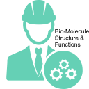 Bio-Molecule Structure