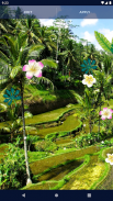 Jungle Live Wallpaper 🌴 Palm Forest Themes screenshot 2