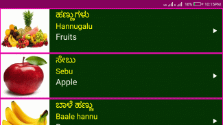 Learn Kannada From English Pro screenshot 2