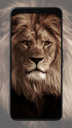 Lion Wallpapers screenshot 1