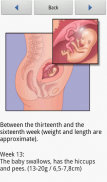 Nine Sweet Months screenshot 5