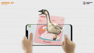 Animal AR 3D Safari Flash Card screenshot 0