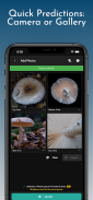 ShroomID - Identify Mushrooms! screenshot 6