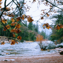 Autumn River Live Wallpaper