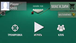 Russian Billiard Pool screenshot 8