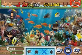 Challenge #62 Underwater Free Hidden Objects Games screenshot 2