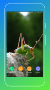 Grasshopper Wallpaper screenshot 5