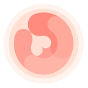 Pregnancy App • HiMommy • Pregnant Women Tracker