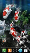 My 3D Fish II screenshot 14