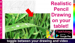 Paintology - Paint Draw Learn screenshot 3