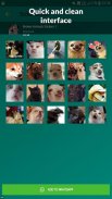 Broken Animal Meme Stickers WAStickerApps screenshot 4