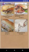 Sandwich Recipes and Wrap Recipes screenshot 4