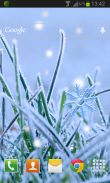 Winter Grass LWP Free screenshot 1