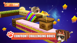 Kitty in the Box screenshot 2