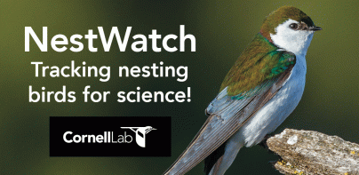 NestWatch by the Cornell Lab