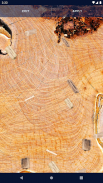 Wood Sawdust Live Wallpaper screenshot 3