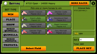 Hooves of Fire - Horse Racing screenshot 6
