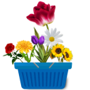 Flower Basket Game Icon