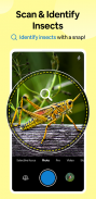 Insect Spider & Bug identifier screenshot 7