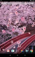 Sakura Live Wallpaper screenshot 1