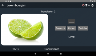 Luxembourgish Language Tests screenshot 18