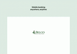 Belco CU Money Manager screenshot 6