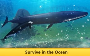 Ocean Whale Simulator Quest screenshot 3