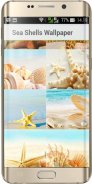 Sea Shells Wallpaper screenshot 0