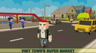 Virtual Life In A Simple Blocky Town screenshot 4