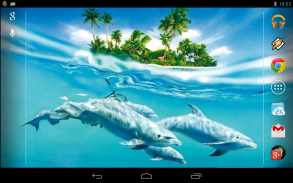 Magic Touch: Dolphins screenshot 1