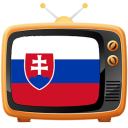 Slovenske a ceske televizie