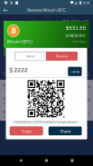 Haladinar HDN wallet screenshot 4